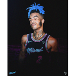 Galaxy monkey
