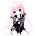 pigtailf