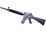 The M-16`s