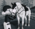 Equine Future