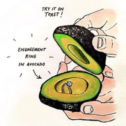 Avocado Land