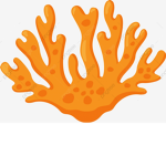 -Coral-