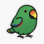 Parrot queen