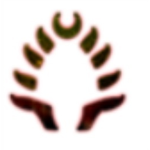 Ember Corp.