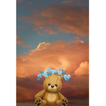 The Bear cub Nation