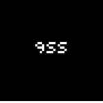 9SS