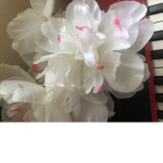 :) ~flower of the safety queens~ :) eeeeeeeeeeeeee