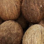 Coconut meeting centre!