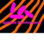 Sprinkle Development