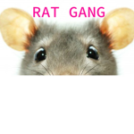 Noah's Rat Gang