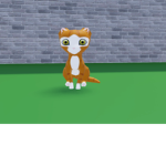 Cats playground
