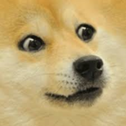 DOGE OBBY (READ DESC)
