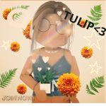 Tulip!!!!