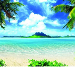 Heaven (BALD TOEA)
