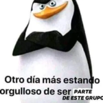 Ropas insanas
