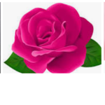Flowers and pleople