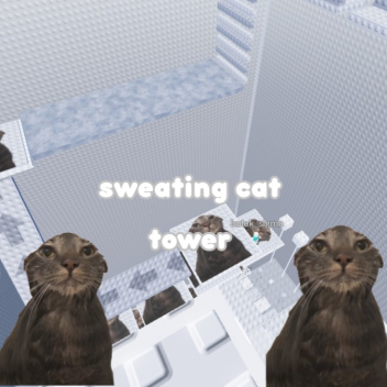 sweating cat tower