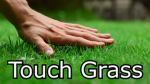 Touch Grass IRL
