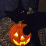 Spookyk