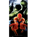 Iron man spider man