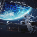 steflex.