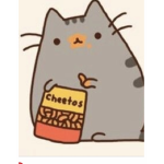 #The Spicy Cheetos