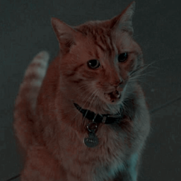 •
