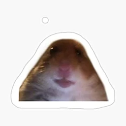 MeWeste icon