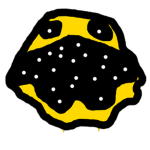 ZoeGamesGroup