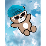 Team Swag!!