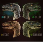 deh raptors