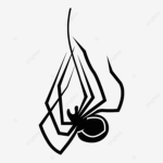 Fragment ∆