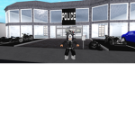 Bloxburg police force/army