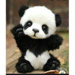 Panda girl: