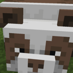 Brown panda