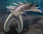 Anomalocaris Army