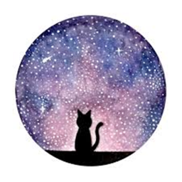 Galactic Cats Hang Out!