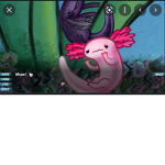 King axolotl why are all my names taken