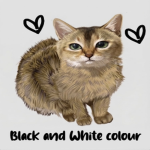 black and white colour