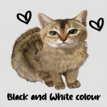 black and white colour Group Thumbnail