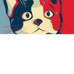 Cat party