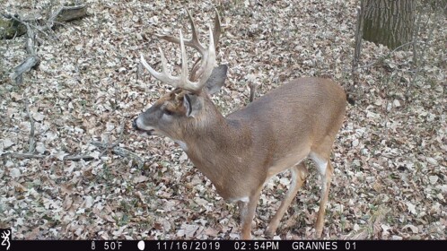 Deer Hunting Simulator