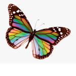 Butterflies Land