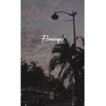 Flxminqol<3