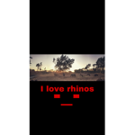 I LOVE RHINOS