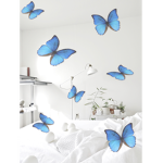 butterfly hypehouse