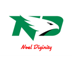 Noel Diggity