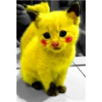 KIITIEZZZZZZZZZZZZZZZZZZZZZZ!