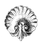 District SCHELLE