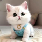 Lovely31
